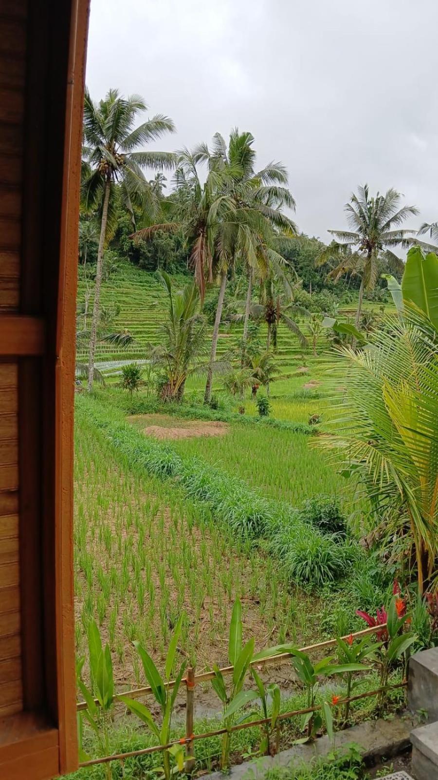 Lumbung Umaluah Villa ซิเดอมัน ภายนอก รูปภาพ